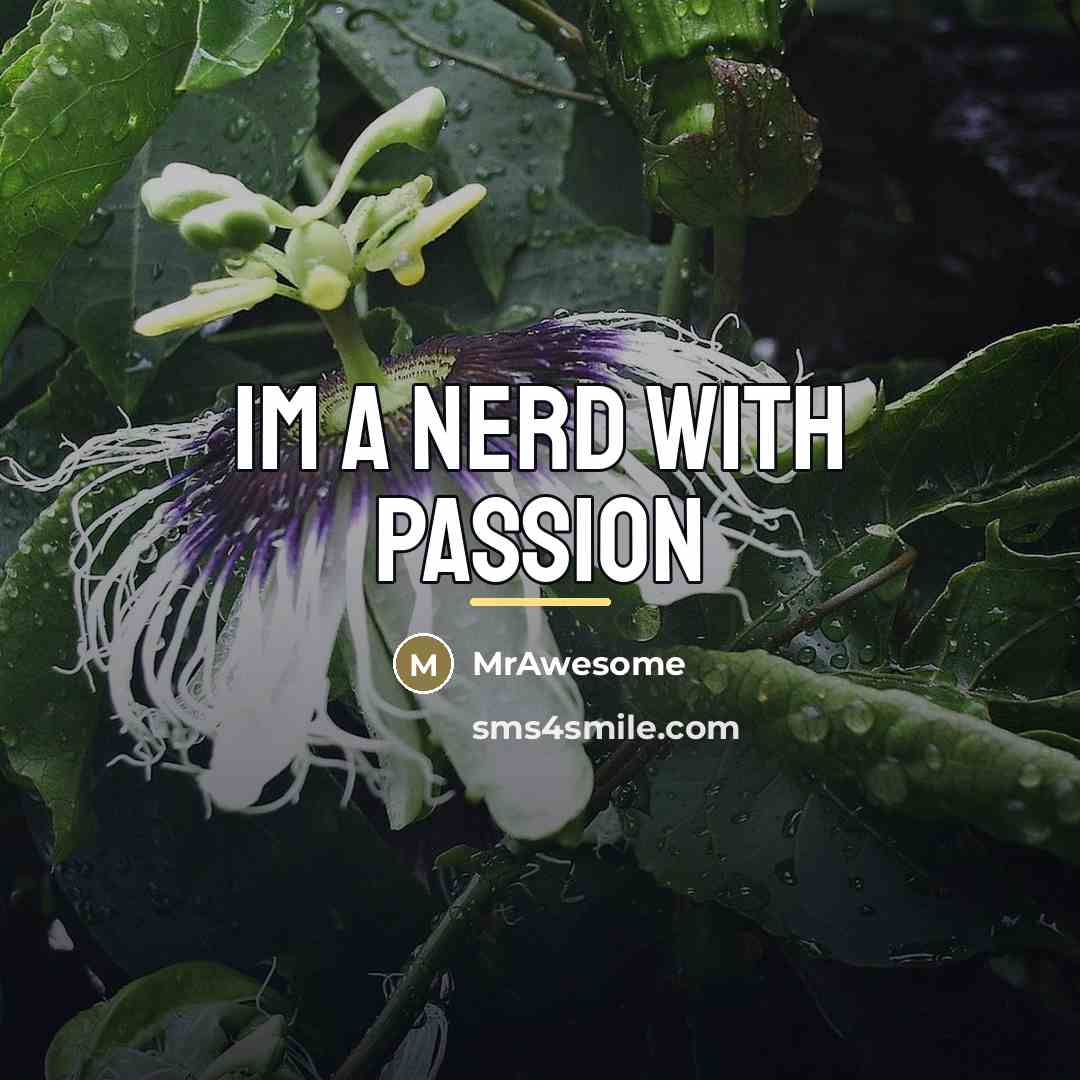 “IM A NERD WITH PASSION…” quote by MrAwesome