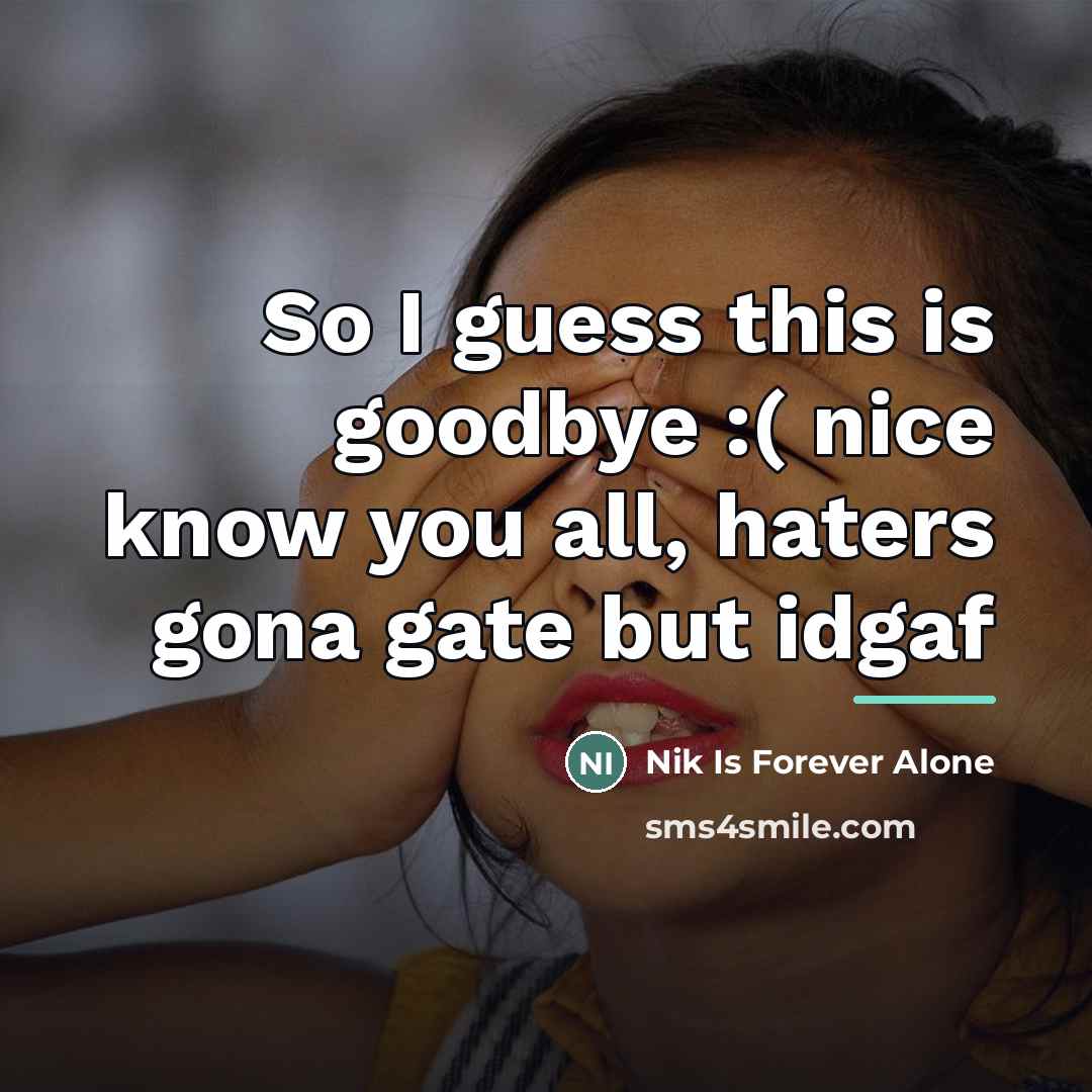 “So I guess this is goodbye :( nice know you…” quote by Nik Is Forever Alone