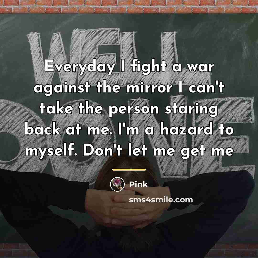 “Everyday I fight a war against the mirror I can't…” quote by Pink