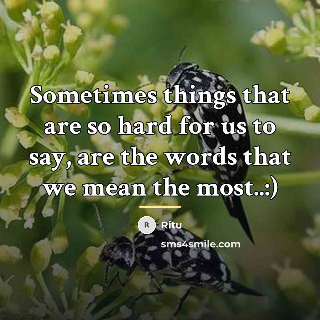 “Sometimes things that are so hard for us to say,…” quote by Ritu