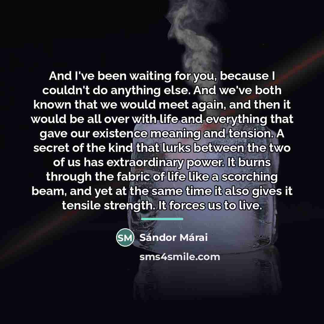 “And I've been waiting for you, because I couldn't do…” quote by Sándor Márai