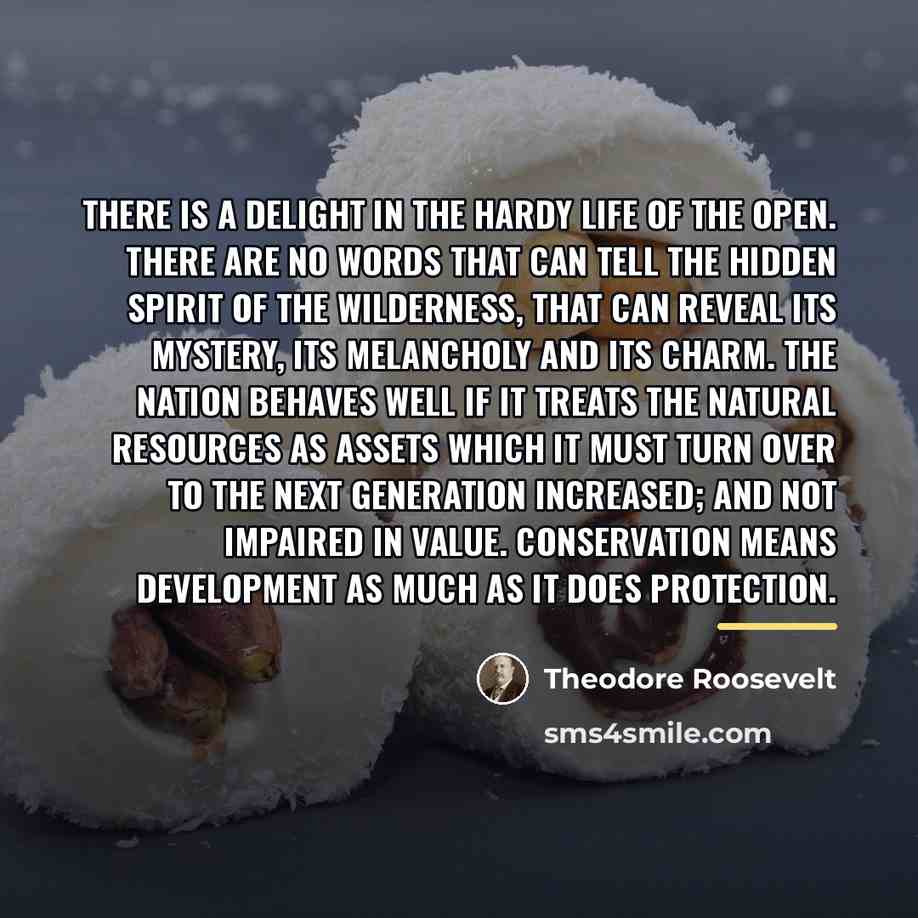 “There is a delight in the hardy life of the…” quote by Theodore Roosevelt