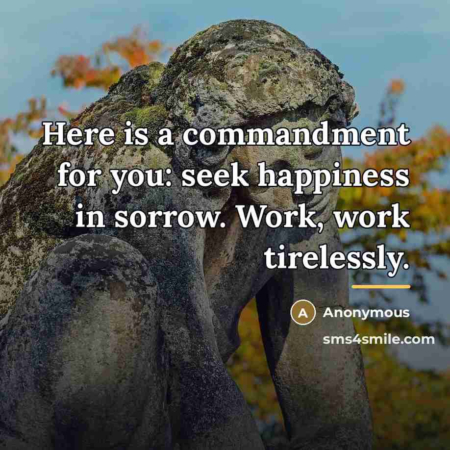 “Here is a commandment for you: seek happiness in sorrow.…” quote by Anonymous