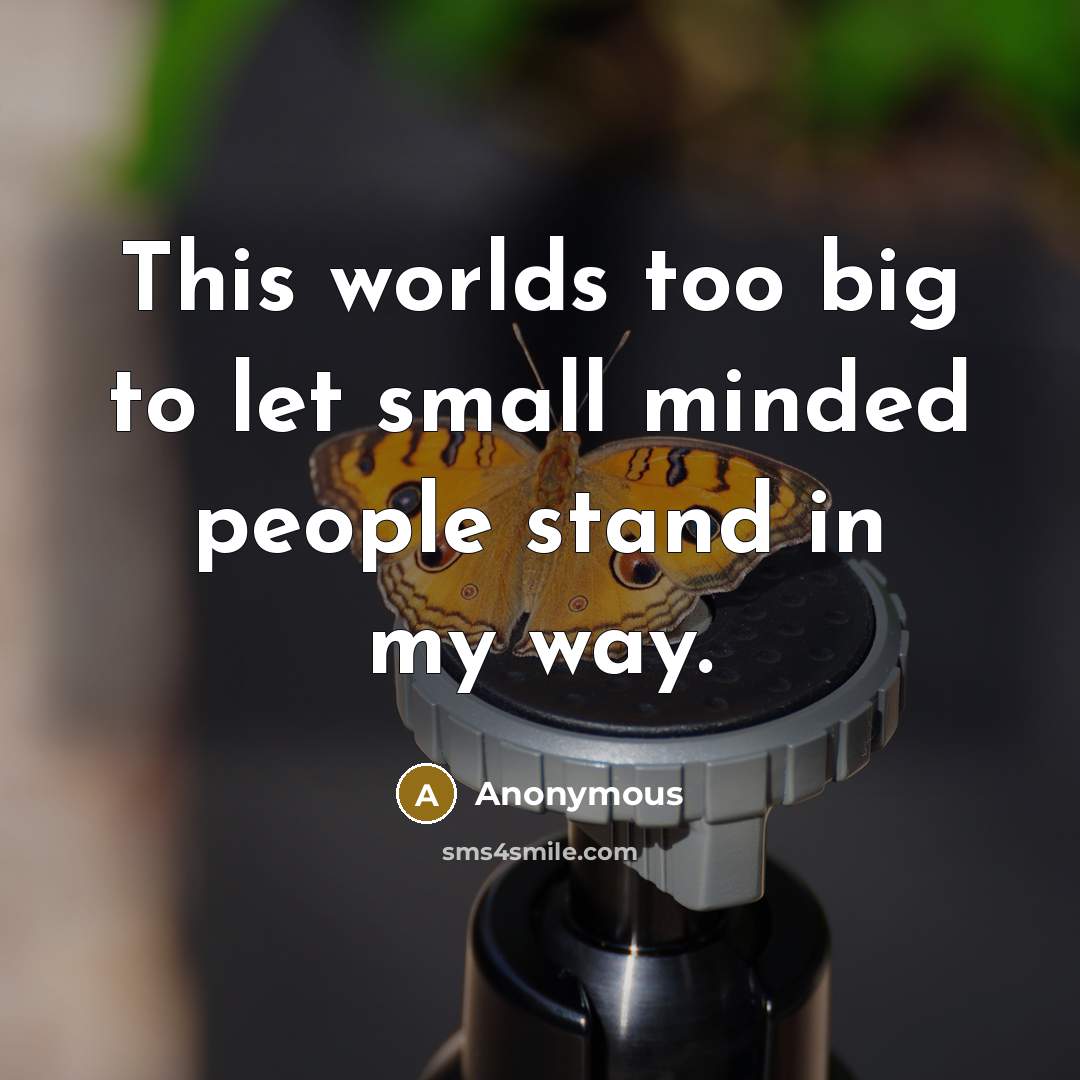 “This worlds too big to let small minded people stand in my way.” quote by Anonymous