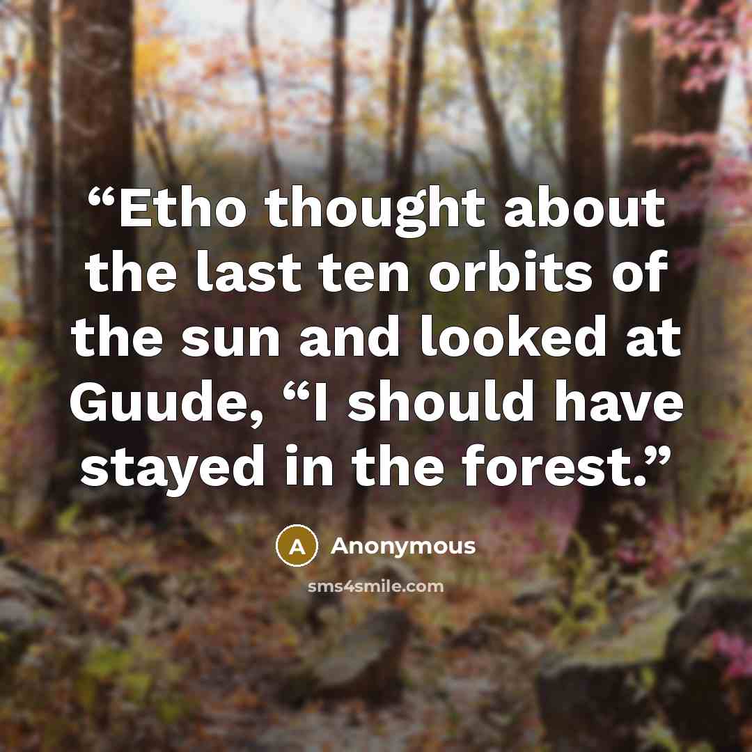 “Etho thought about the last ten orbits of the sun and looked at Guude, “I should have stayed in the forest.” quote by Anonymous