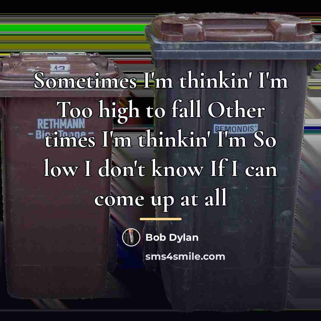 “Sometimes I'm thinkin' I'm Too high to fall Other times…” quote by Bob Dylan