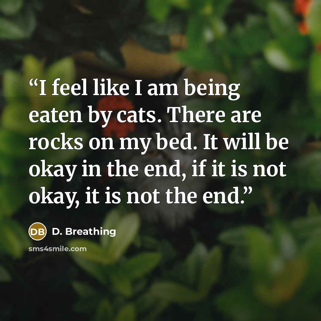 “I feel like I am being eaten by cats. There are rocks on my bed. It will be okay in the end, if it is not okay, it is not the end.” quote by D. Breathing