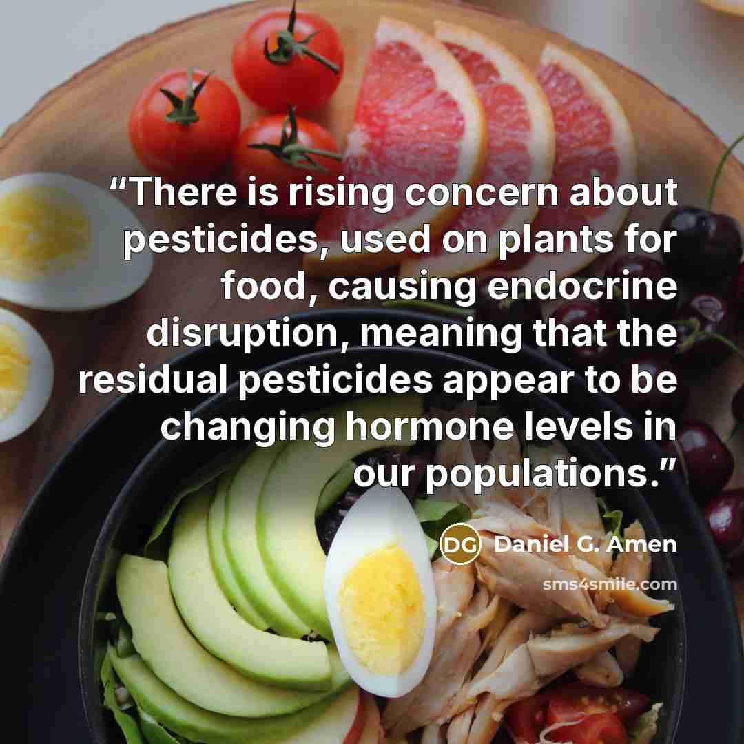 “There is rising concern about pesticides, used on plants for food, causing endocrine disruption, meaning that the residual pesticides appear to be changing hormone levels in our populations.” quote by Daniel G. Amen