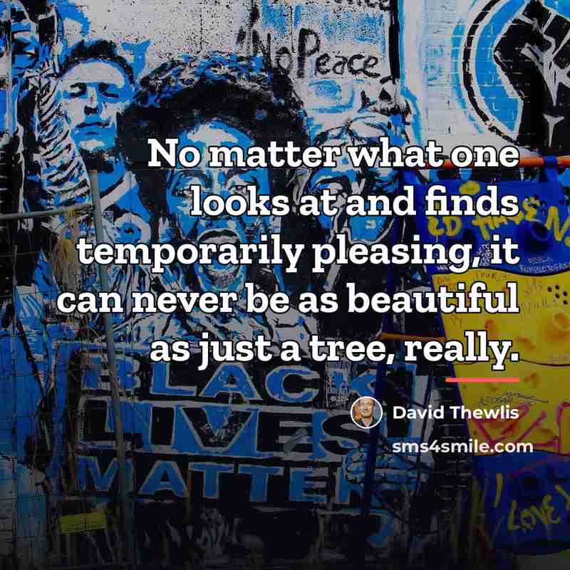 “No matter what one looks at and finds temporarily pleasing,…” quote by David Thewlis