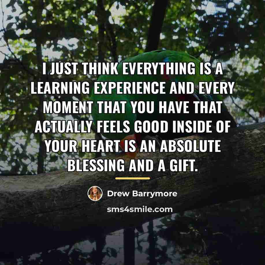 “I just think everything is a learning experience and every…” quote by Drew Barrymore