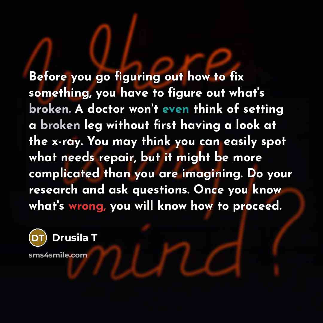 “Before you go figuring out how to fix something, you…” quote by Drusila T