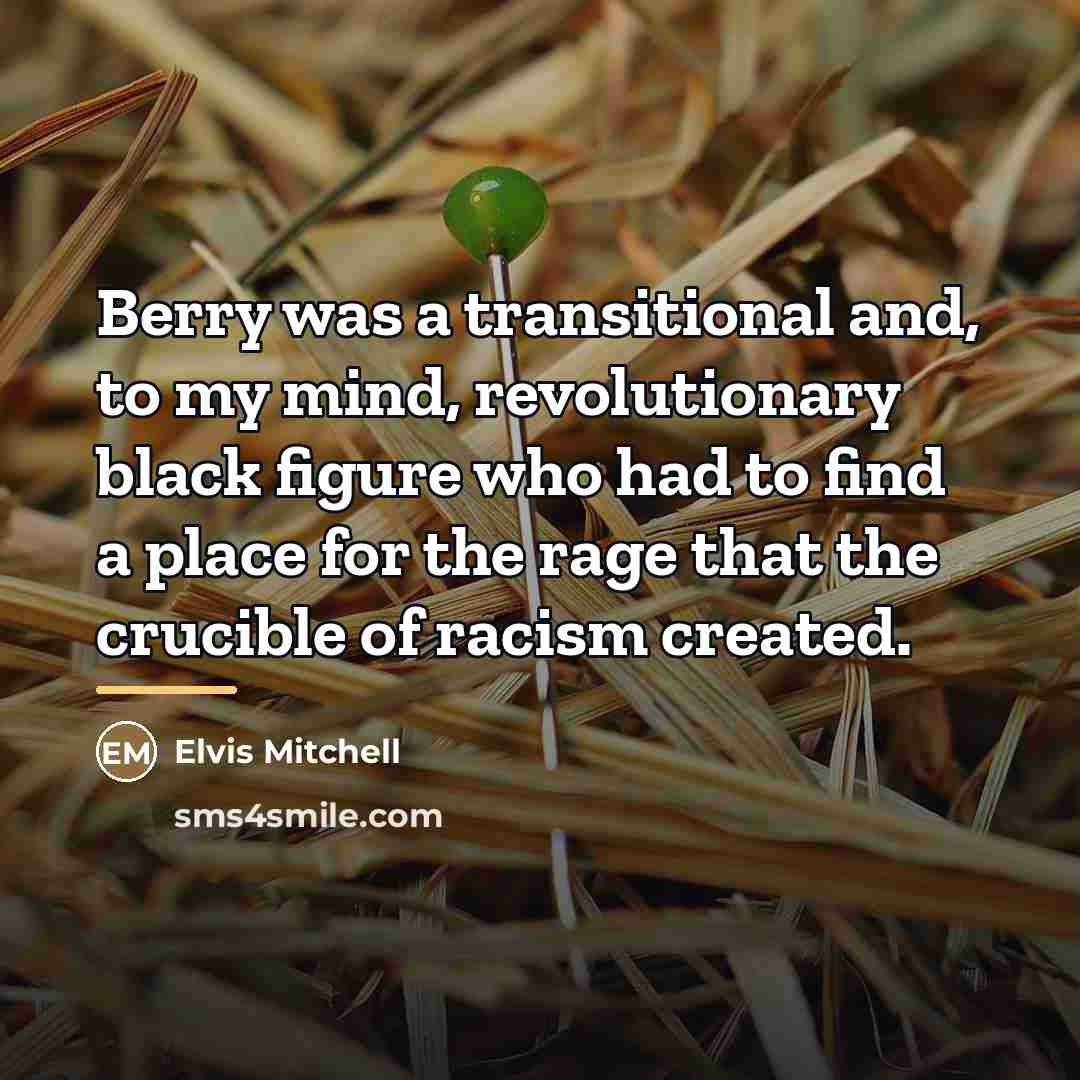 “Berry was a transitional and, to my mind, revolutionary black…” quote by Elvis Mitchell