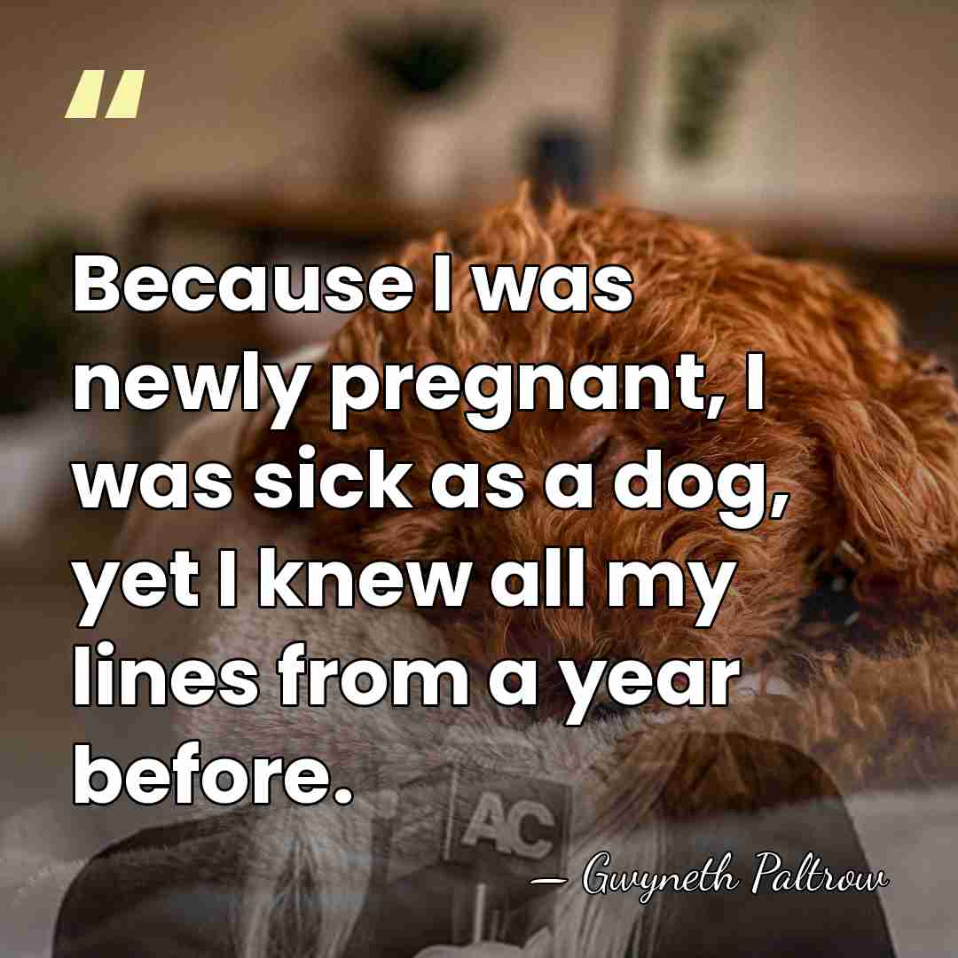 Because I was newly pregnant, I was sick as a dog, yet&hellip; - Gwyneth Paltrow