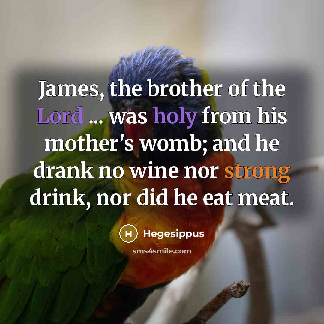 “James, the brother of the Lord ... was holy from his mother's womb; and he drank no wine nor strong drink, nor did he eat meat.” quote by Hegesippus