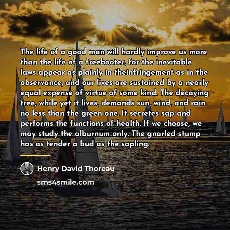 “The life of a good man will hardly improve us…” quote by Henry David Thoreau