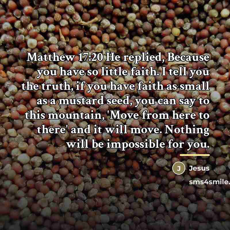 “Matthew 17:20 He replied, Because you have so little faith.…” quote by Jesus