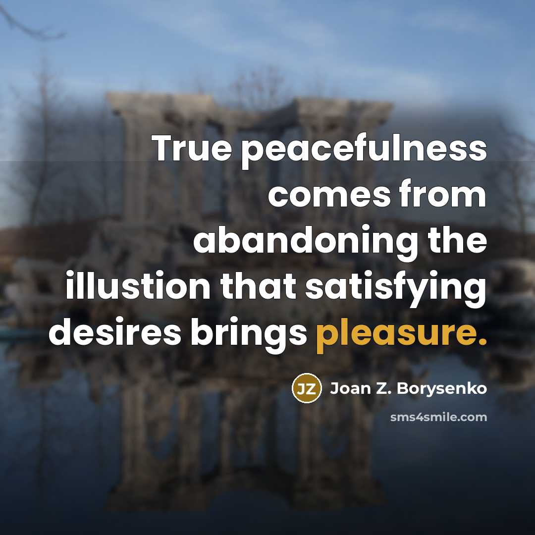 “True peacefulness comes from abandoning the illustion that satisfying desires…” quote by Joan Z. Borysenko