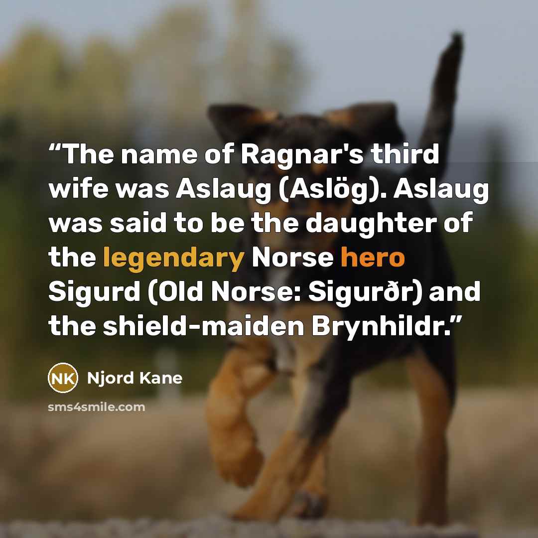 “The name of Ragnar's third wife was Aslaug (Aslög). Aslaug was said to be the daughter of the legendary Norse hero Sigurd (Old Norse: Sigurðr) and the shield-maiden Brynhildr.” quote by Njord Kane