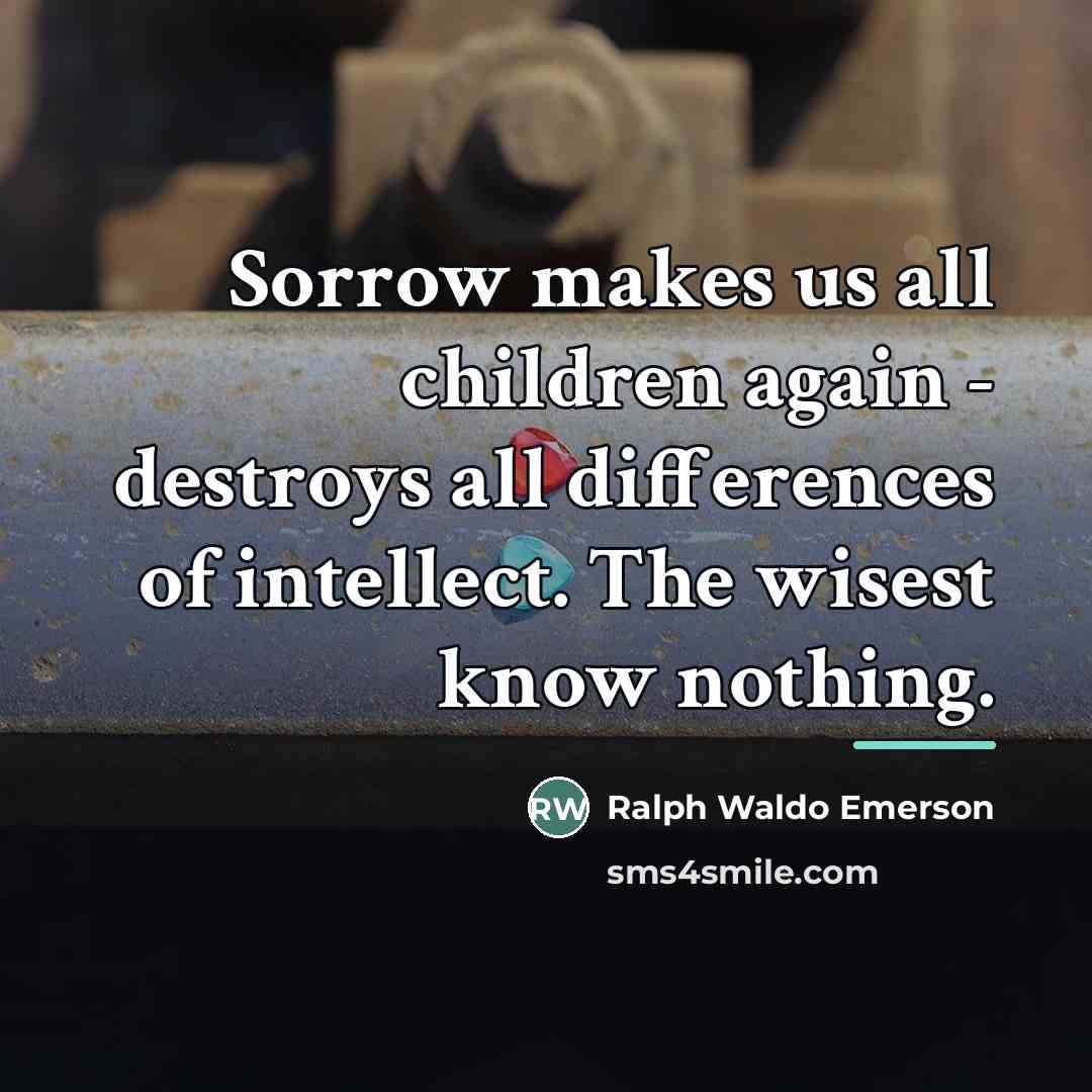 “Sorrow makes us all children again - destroys all differences…” quote by Ralph Waldo Emerson