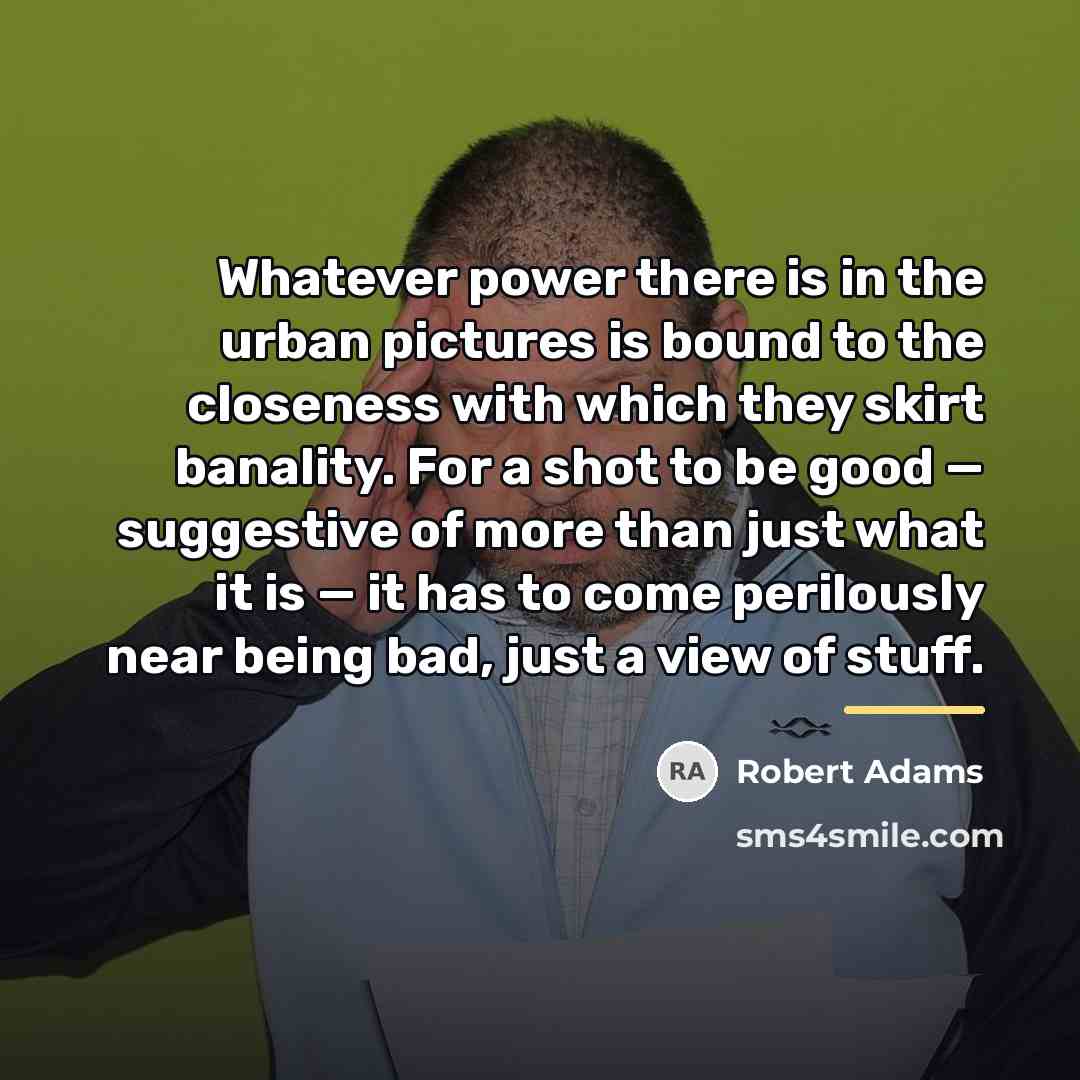 “Whatever power there is in the urban pictures is bound…” quote by Robert Adams