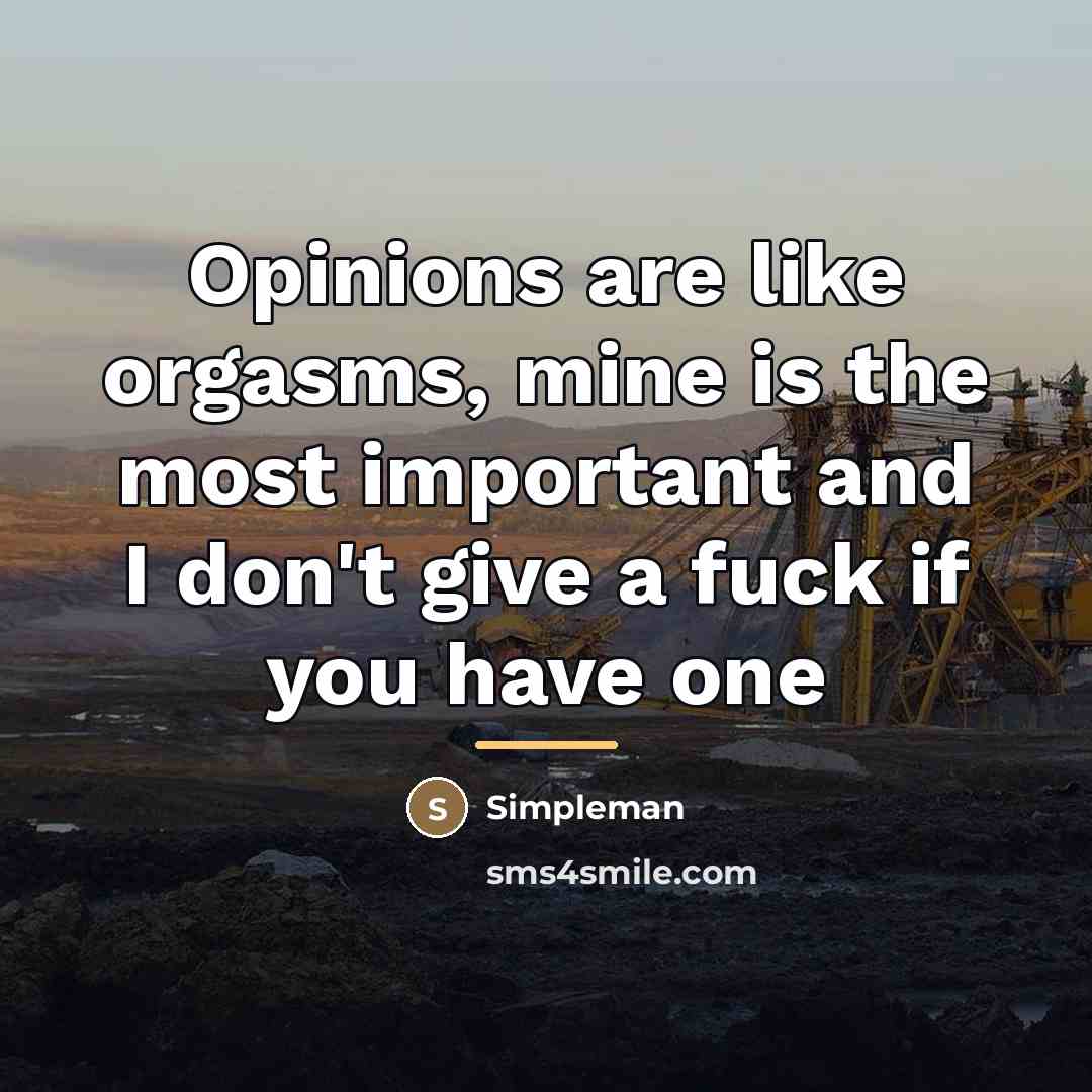 “Opinions are like orgasms, mine is the most important and…” quote by Simpleman