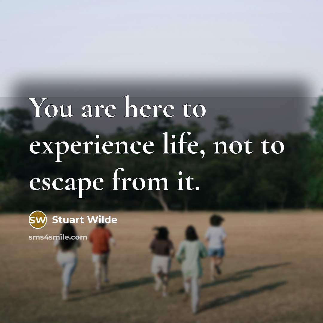 “You are here to experience life, not to escape from it.” quote by Stuart Wilde