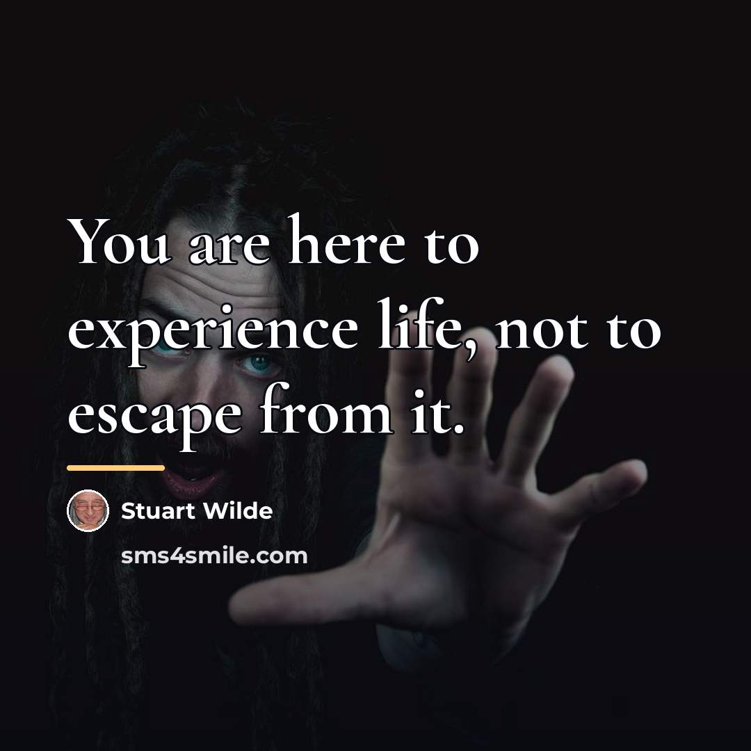 “You are here to experience life, not to escape from…” quote by Stuart Wilde