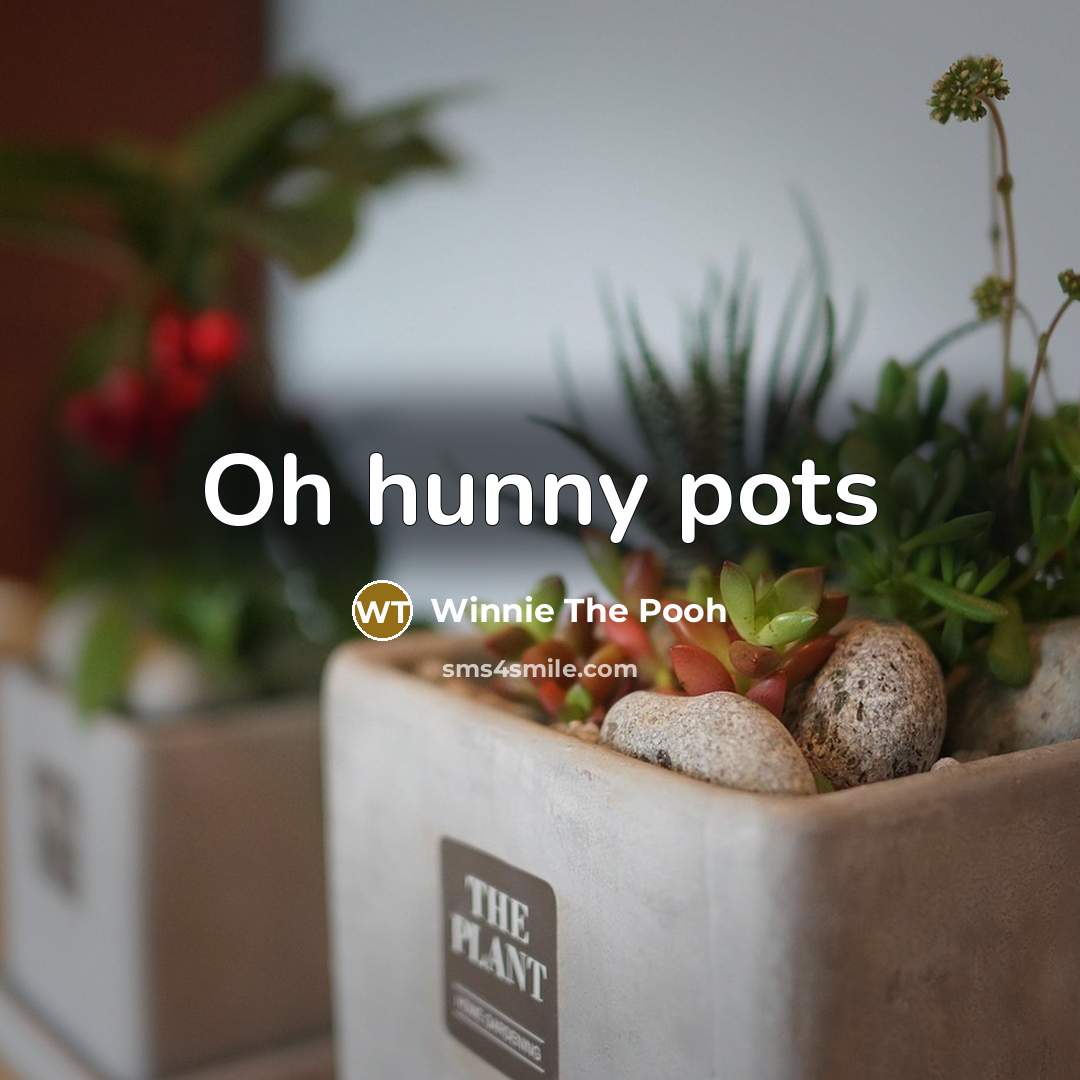 “Oh hunny pots…” quote by Winnie The Pooh