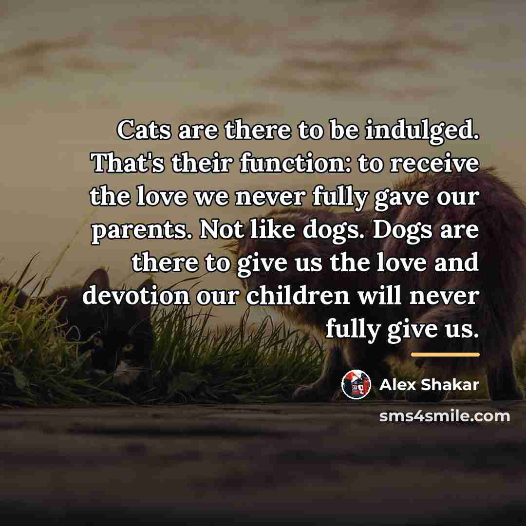 “Cats are there to be indulged. That's their function: to…” quote by Alex Shakar