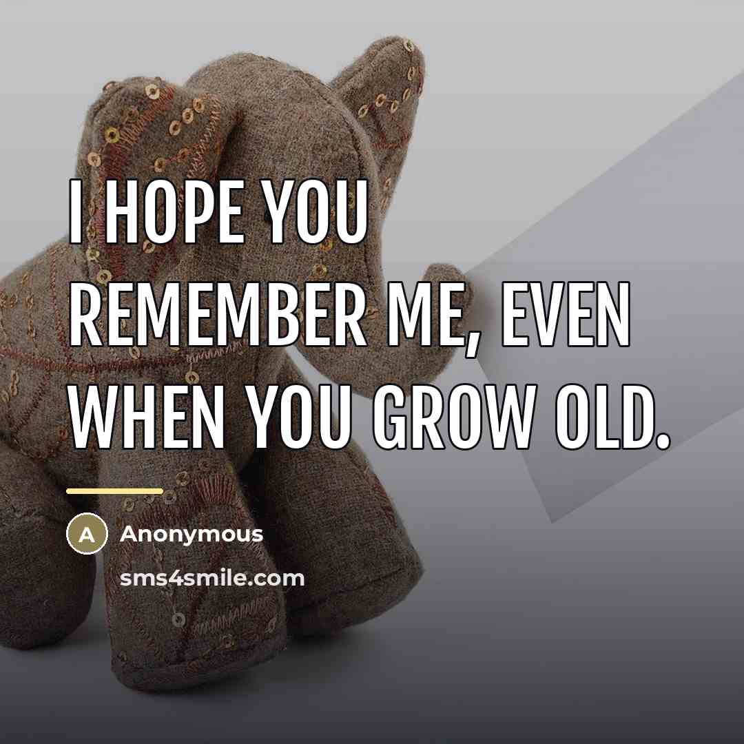 “I hope you remember me, even when you grow old.…” quote by Anonymous