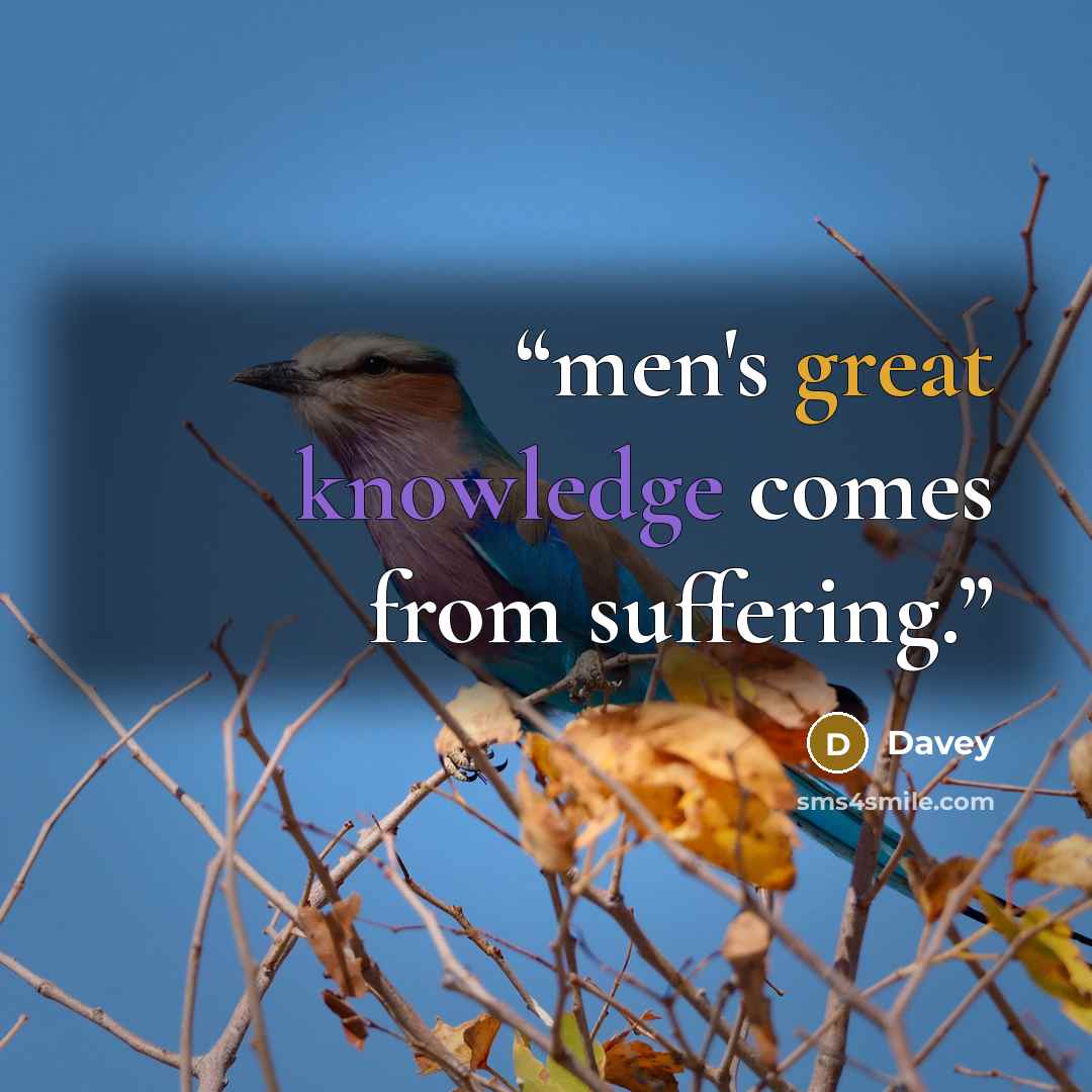 “men's great knowledge comes from suffering.” quote by Davey