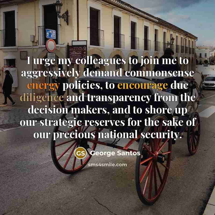 “I urge my colleagues to join me to aggressively demand…” quote by George Santos