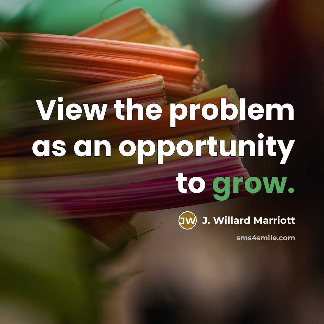 “View the problem as an opportunity to grow.” quote by J. Willard Marriott