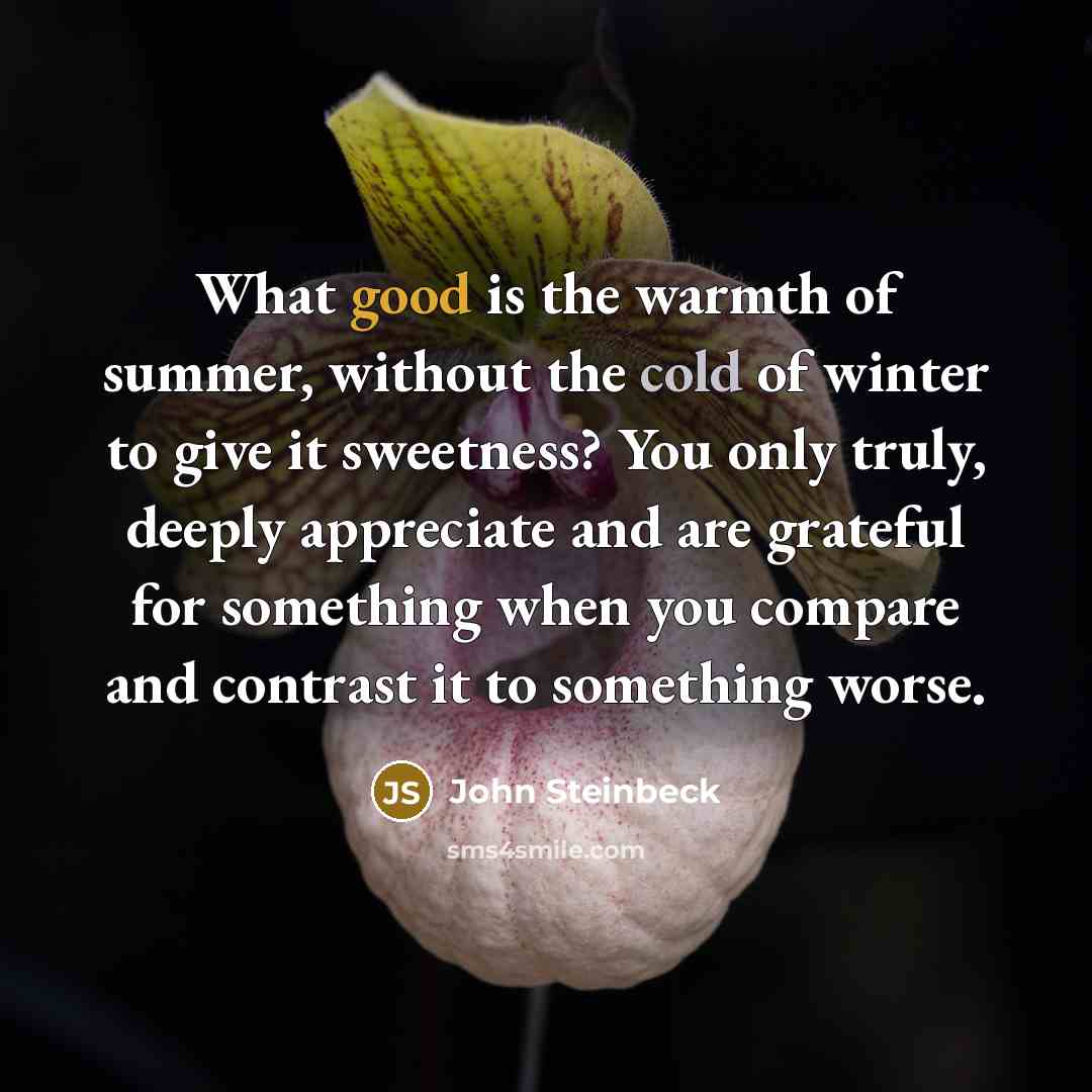“What good is the warmth of summer, without the cold…” quote by John Steinbeck