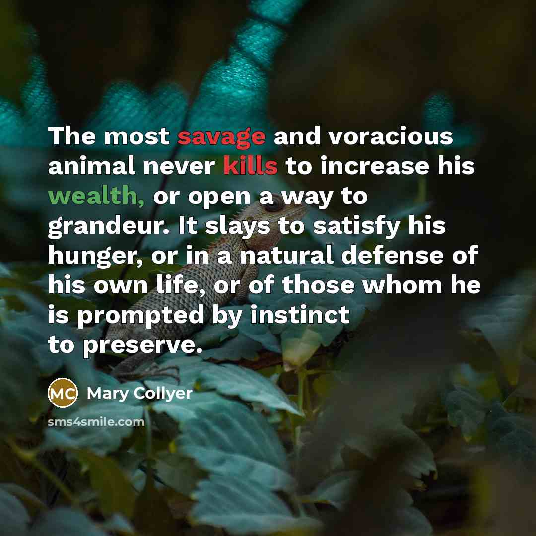 “The most savage and voracious animal never kills to increase…” quote by Mary Collyer