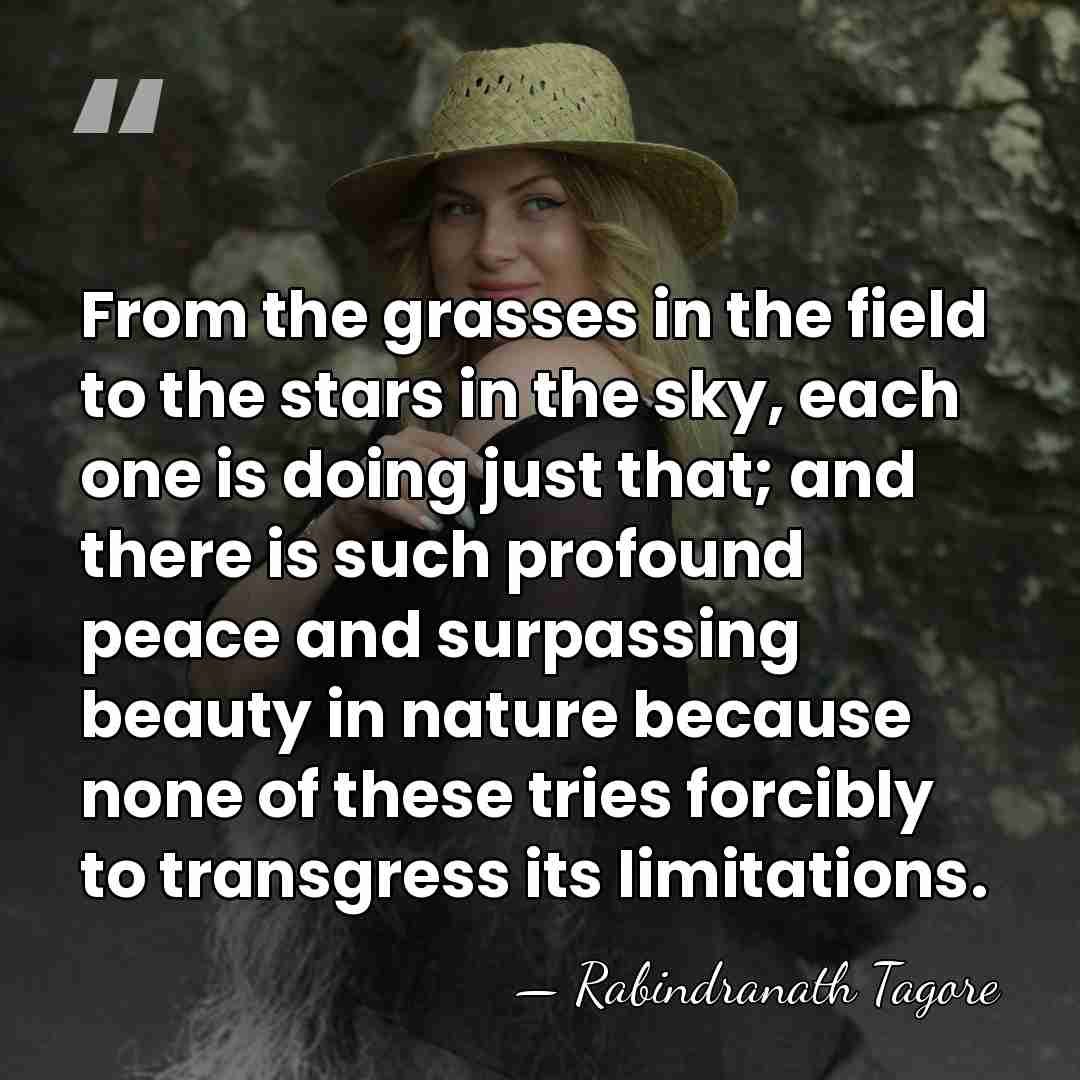 From the grasses in the field to the stars in the sky,&hellip; - Rabindranath Tagore