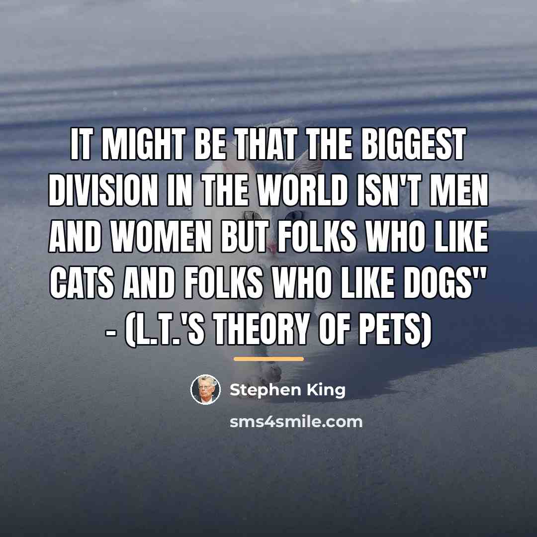 “It might be that the biggest division in the world…” quote by Stephen King