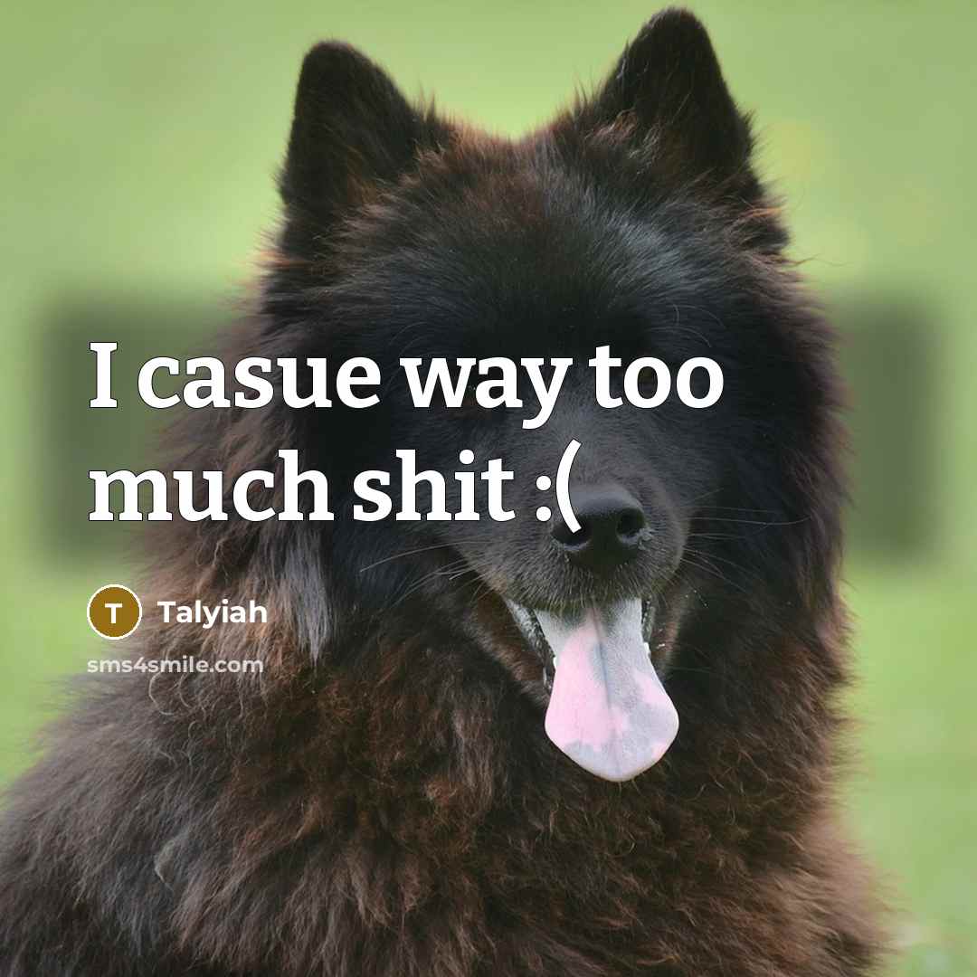 “I casue way too much shit :(” quote by Talyiah
