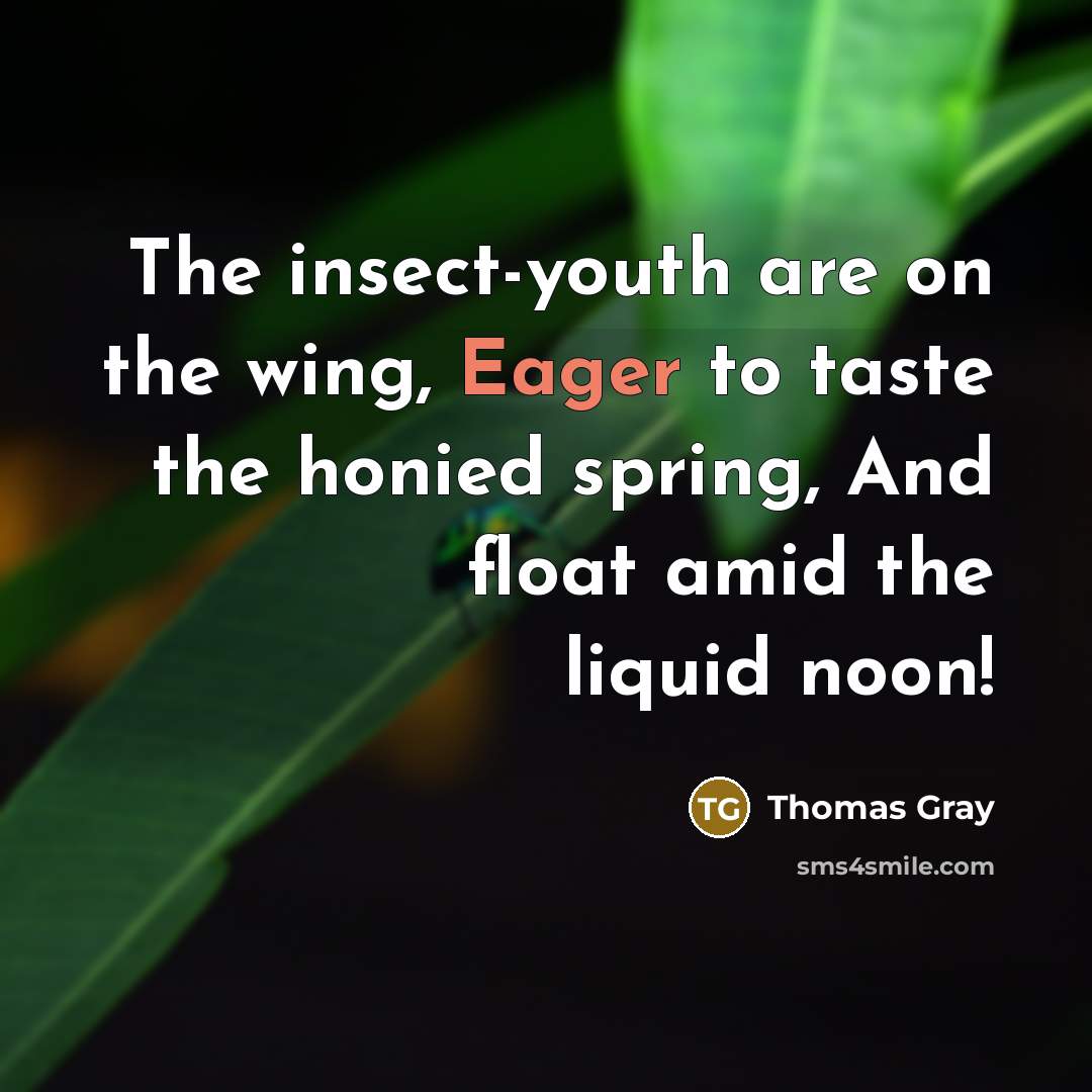 “The insect-youth are on the wing, Eager to taste the…” quote by Thomas Gray