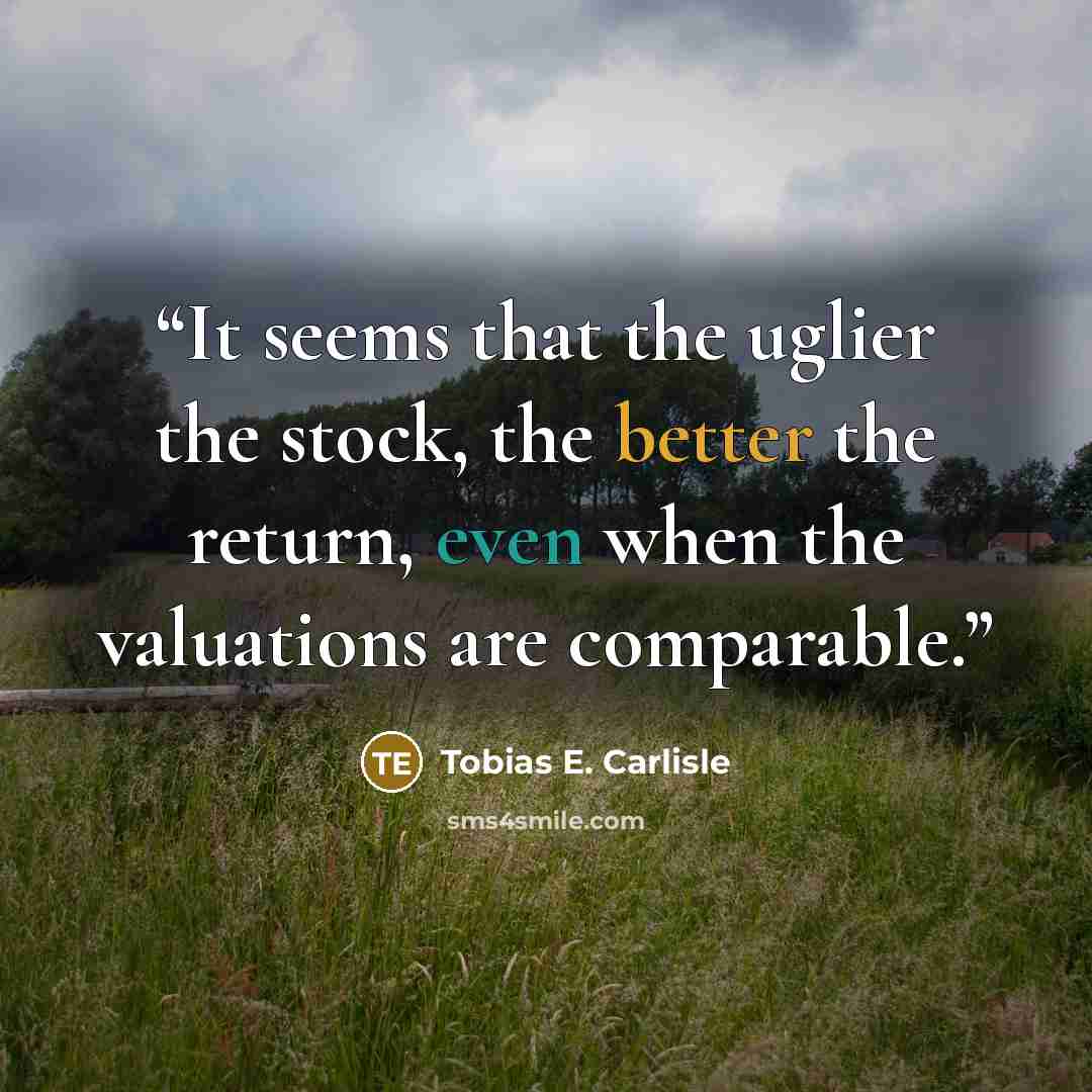 “It seems that the uglier the stock, the better the return, even when the valuations are comparable.” quote by Tobias E. Carlisle