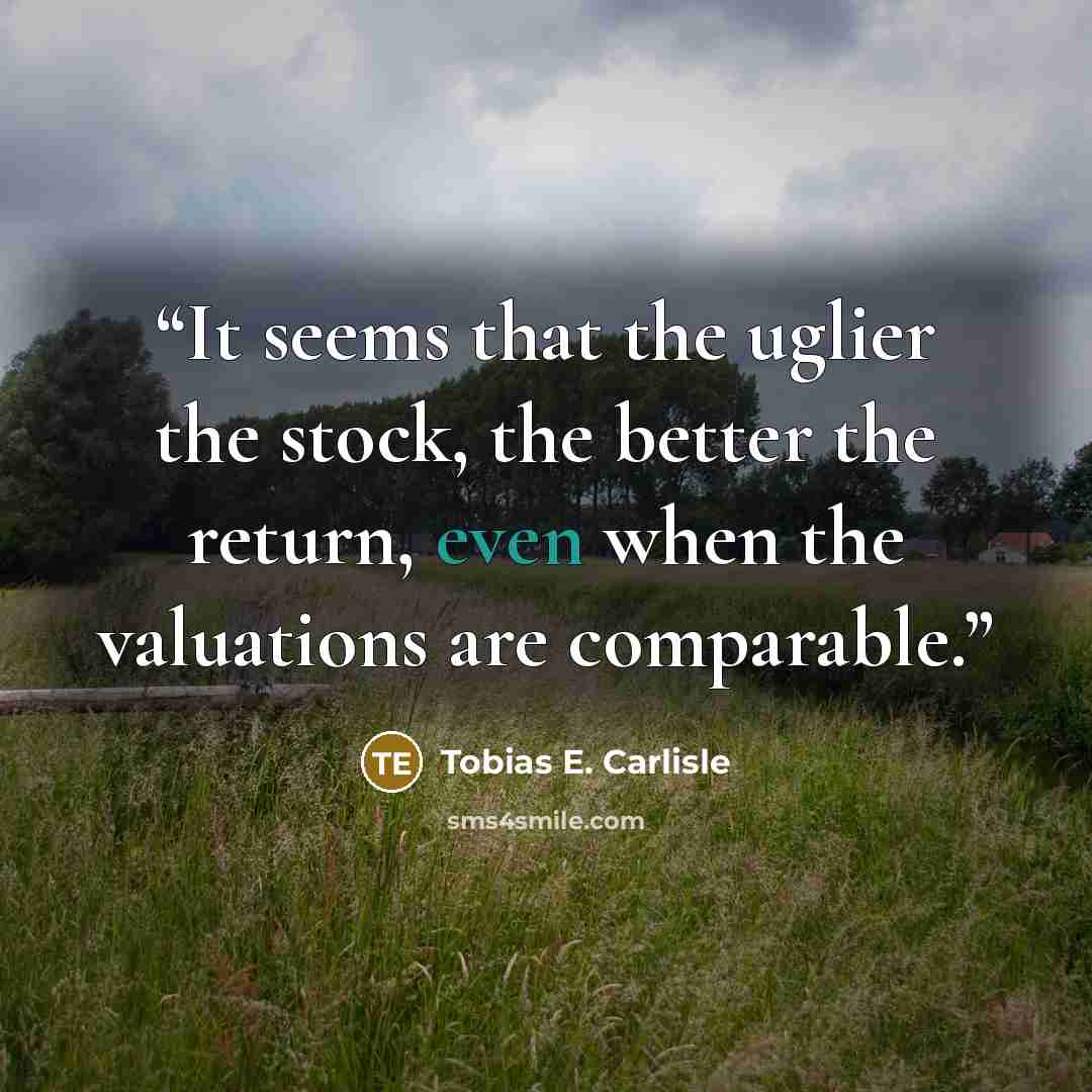 “It seems that the uglier the stock, the better the return, even when the valuations are comparable.” quote by Tobias E. Carlisle