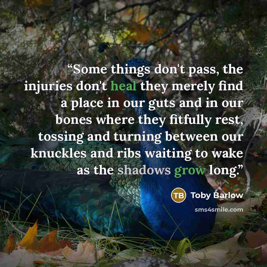 “Some things don't pass, the injuries don't heal they merely find a place in our guts and in our bones where they fitfully rest, tossing and turning between our knuckles and ribs waiting to wake as the shadows grow long.” quote by Toby Barlow