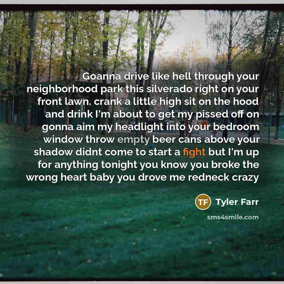 “Goanna drive like hell through your neighborhood park this silverado…” quote by Tyler Farr