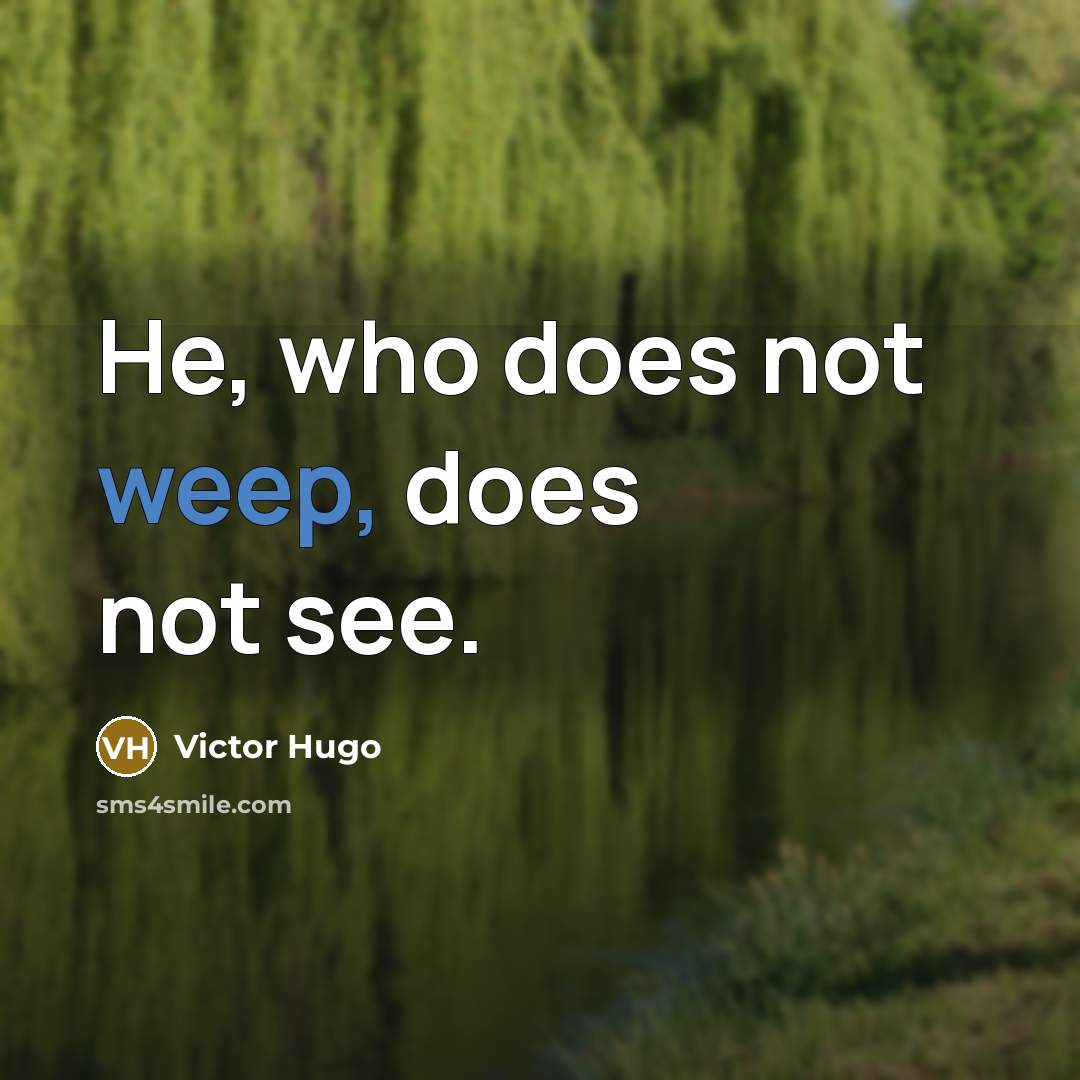 “He, who does not weep, does not see.” quote by Victor Hugo