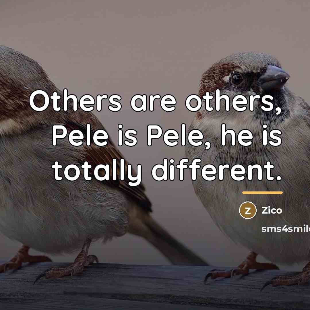 “Others are others, Pele is Pele, he is totally different.…” quote by Zico
