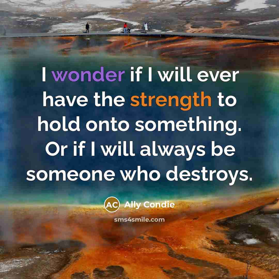“I wonder if I will ever have the strength to…” quote by Ally Condie