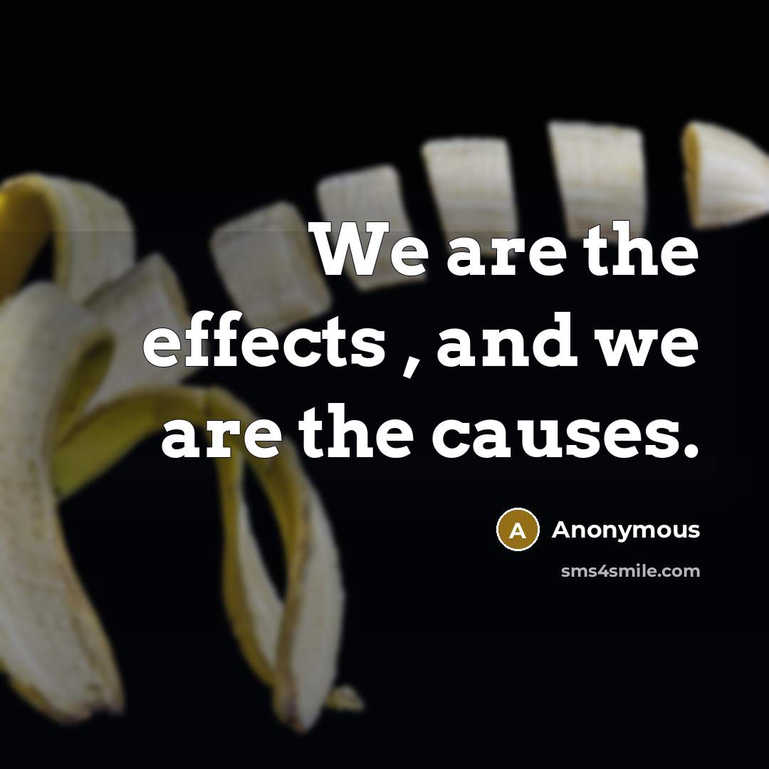 “We are the effects , and we are the causes.…” quote by Anonymous