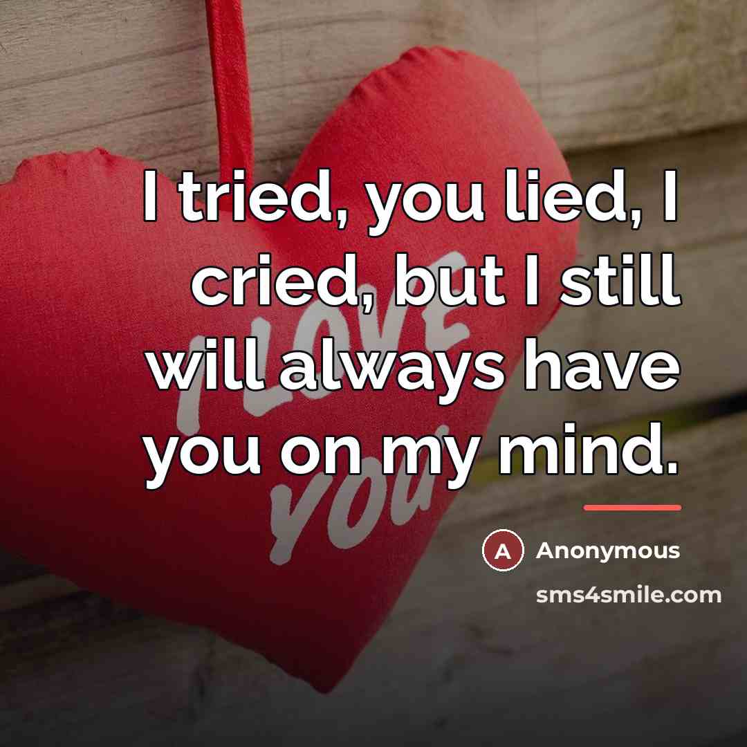 “I tried, you lied, I cried, but I still will…” quote by Anonymous