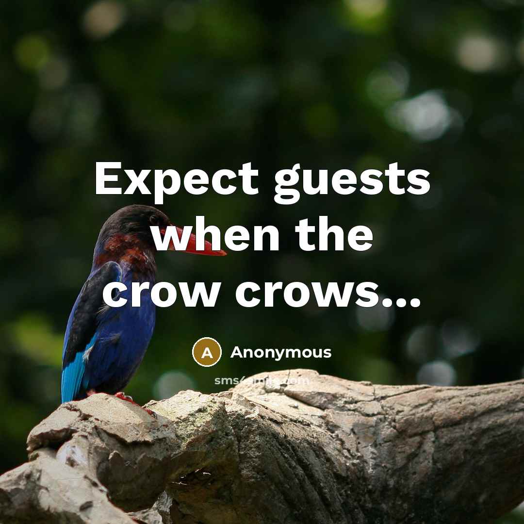 “Expect guests when the crow crows...” quote by Anonymous