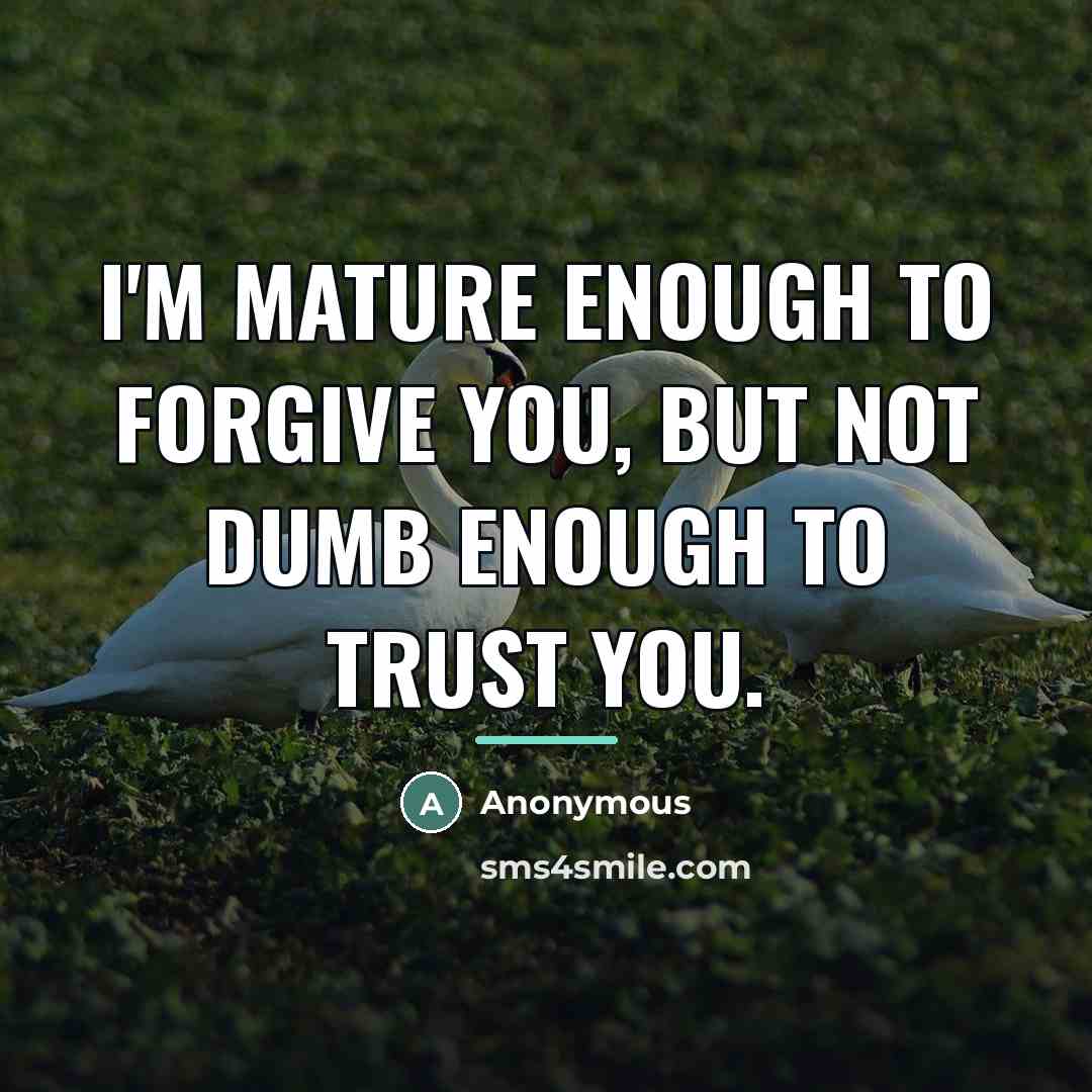 “I'm mature enough to forgive you, BUT not dumb enough…” quote by Anonymous